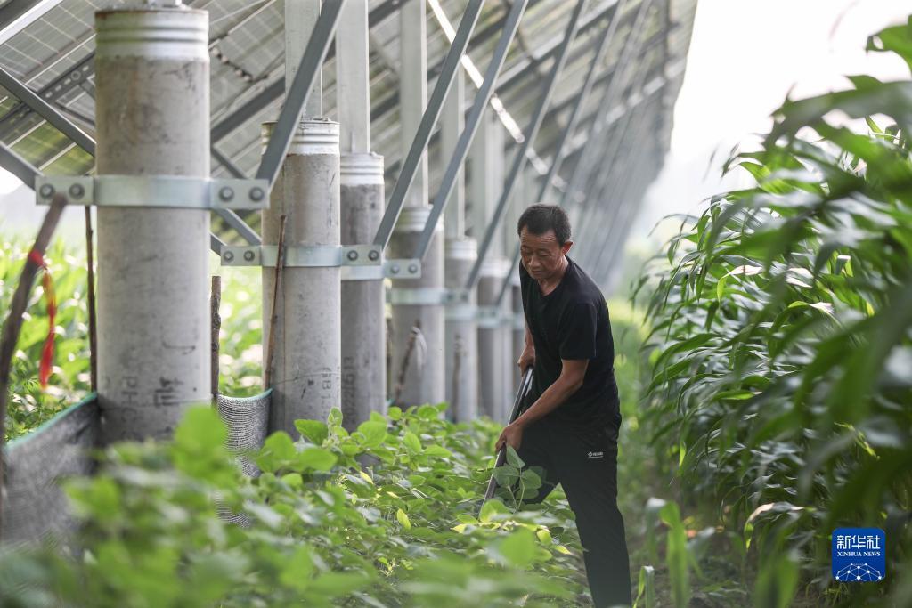 王者捕鱼游戏下载